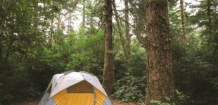 Dla zapracowanych – weekendowy wypad pod namiot